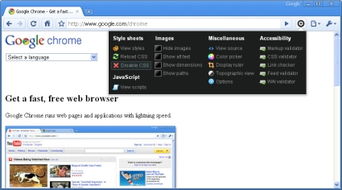 用于網頁設計開發的google chrome擴展